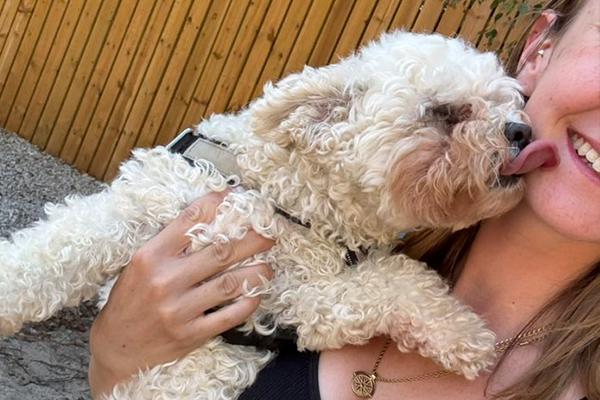 Broomhill Farm Luxury Dog Hotel